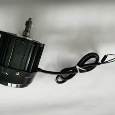motor shaft
