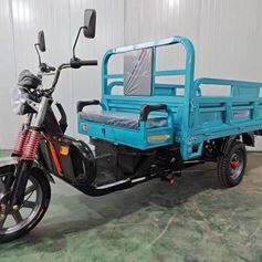 electric tricycle