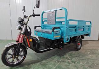 electric tricycle