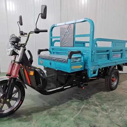 electric tricycle